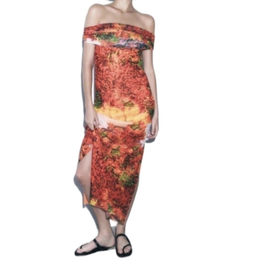 NWT Zara Lined Fruit Off Shoulder Maxi Dress Mesh Lined Stretchy Sz M